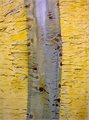 ausstellung-bad-steben-101